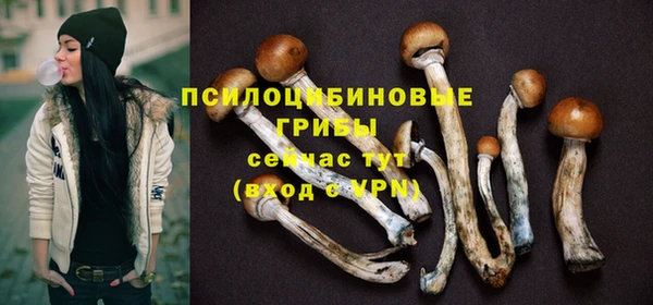 амф Абаза