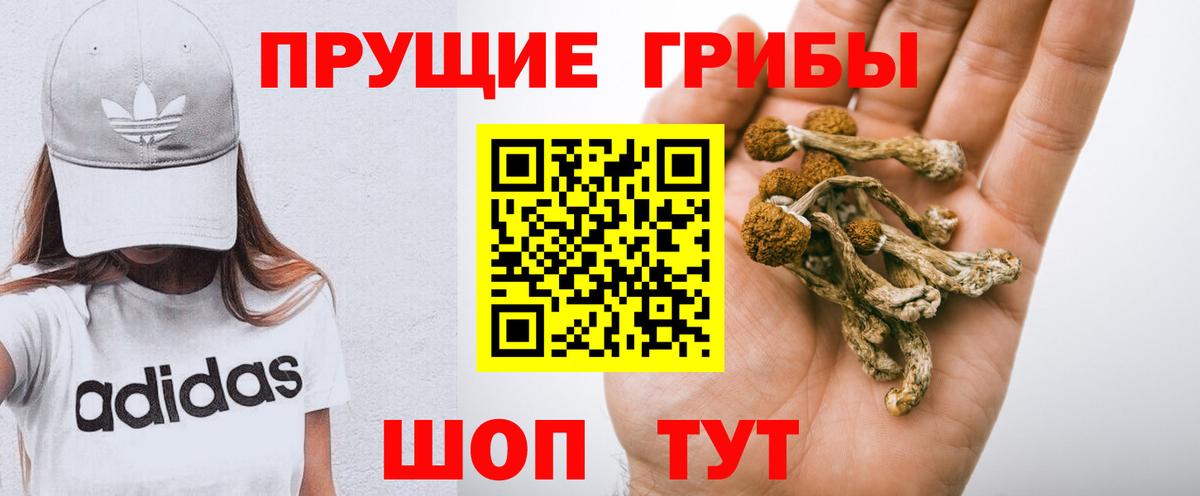 Псилоцибиновые грибы мухоморы Губкин