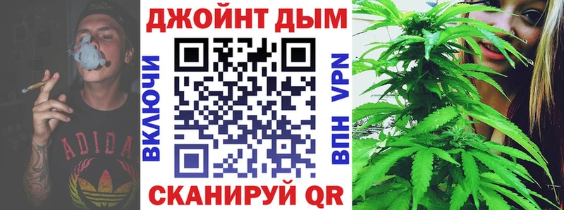 Бошки Шишки гибрид  Губкин 